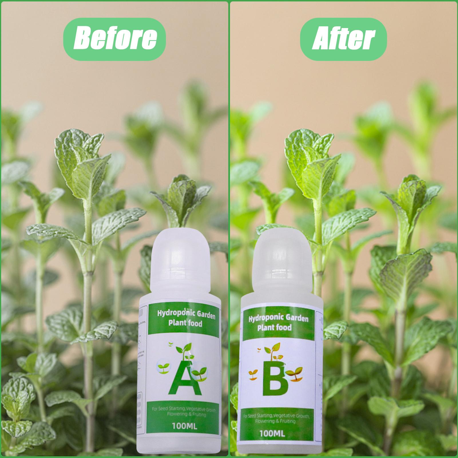 Hydroponic Nutrients Fertilize - Nutrient Solution Ab ulasan dan harga