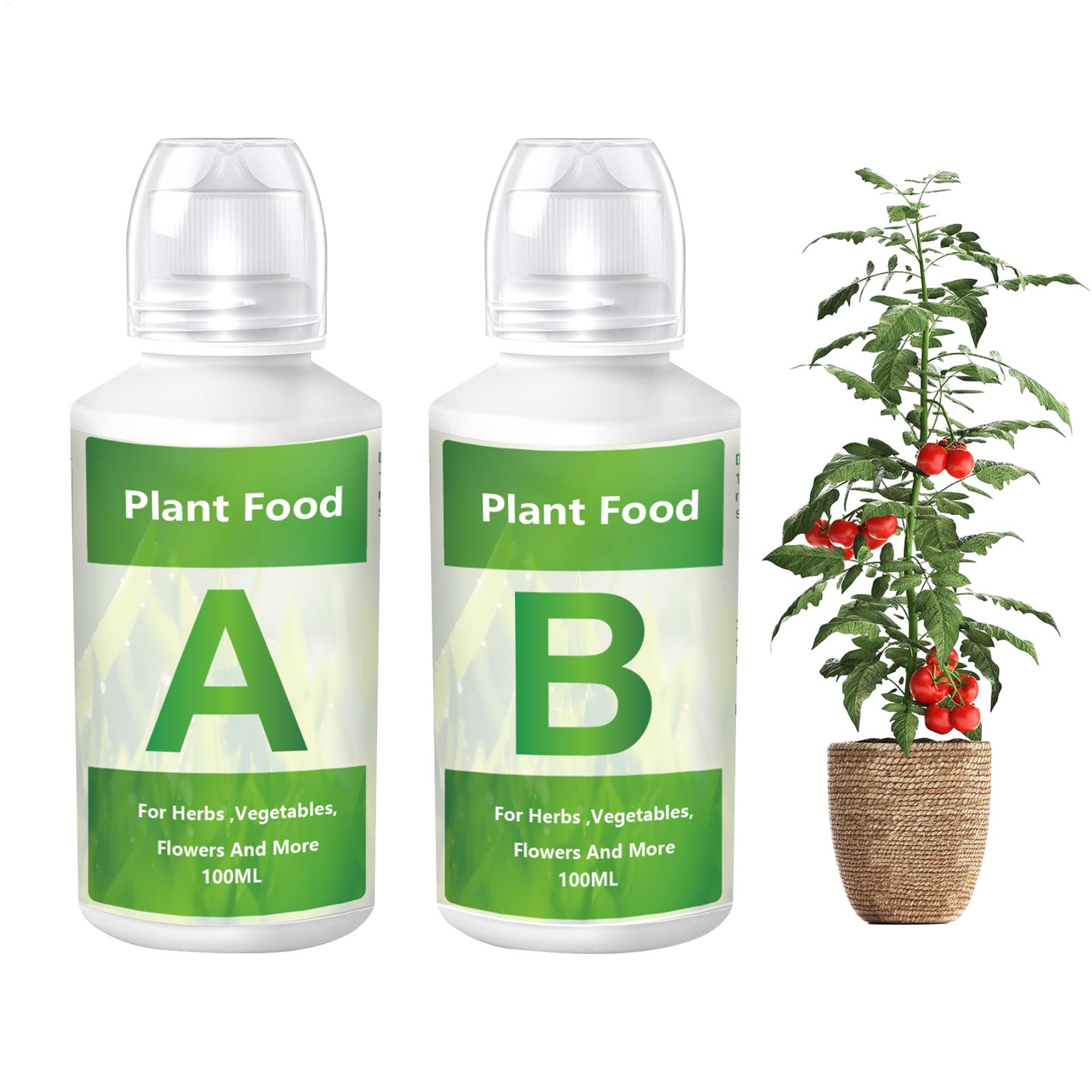 A Hydroponic Nutrients Fertili - Nutrient Solution Ab ulasan dan harga