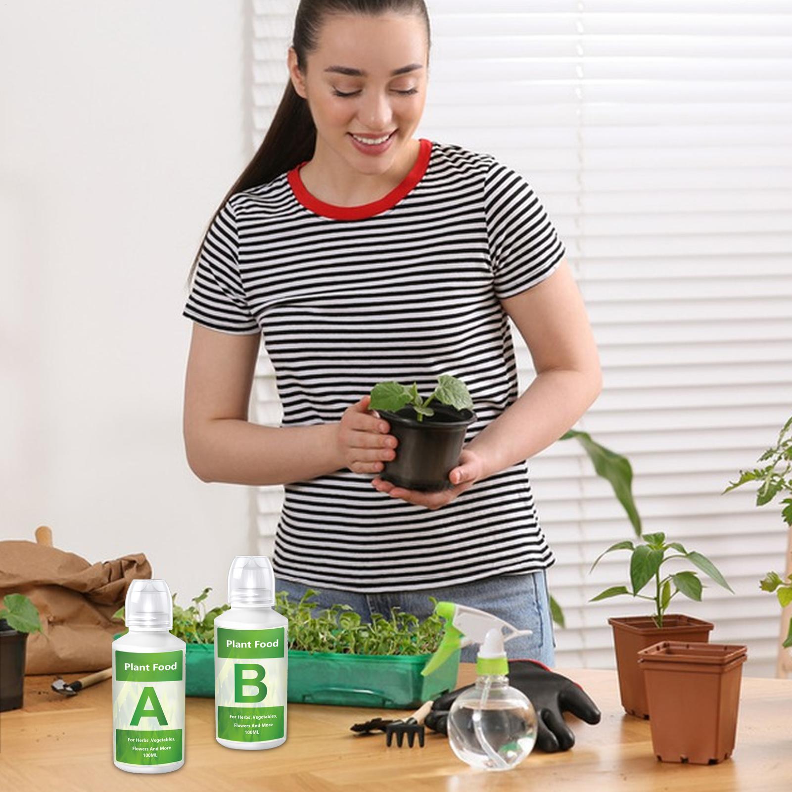 A Hydroponic Nutrients Fertili - Nutrient Solution Ab ulasan dan harga