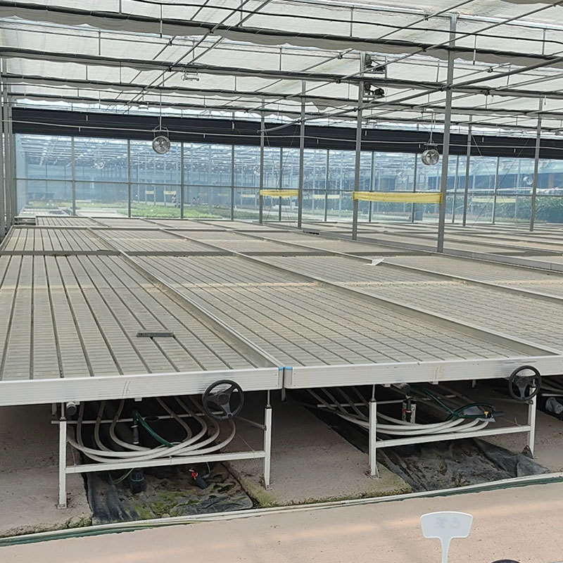 Hydroponics Greenhouse 6X8 Flo - Flood Tray Table ulasan dan harga